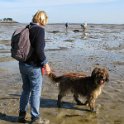 2014 Ile de Noirmoutiers (162)